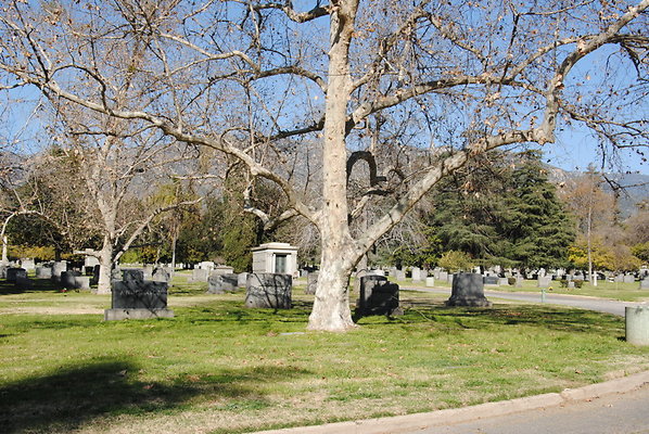 DSC 0524