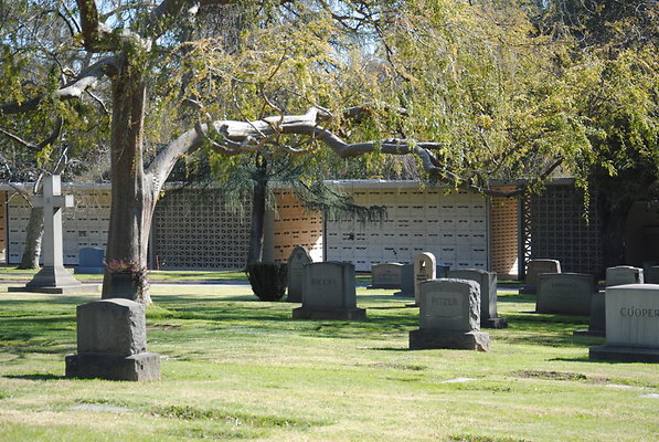 DSC 0441