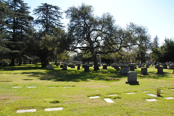 DSC 0381