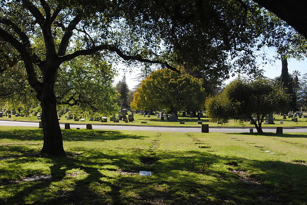 DSC 0378