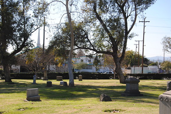 DSC 0531