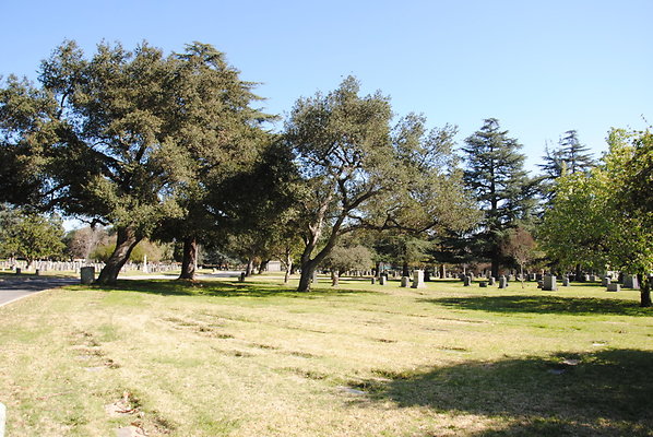 DSC 0367