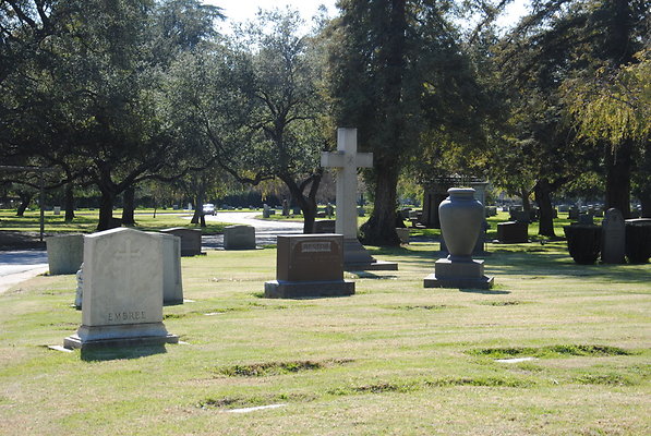 DSC 0487