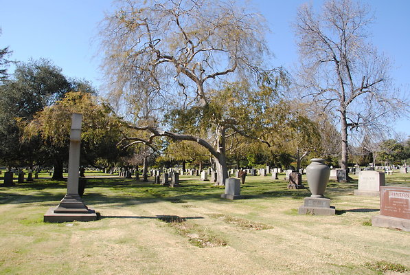DSC 0419