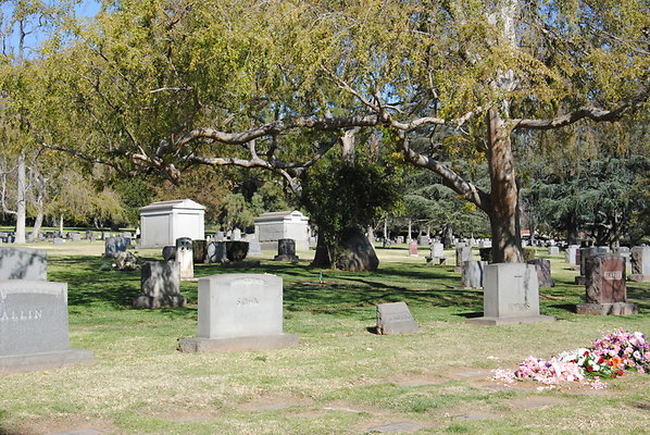 DSC 0410