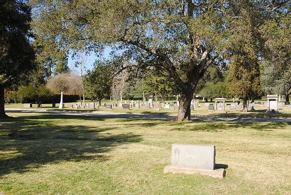 DSC 0454
