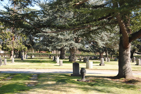 DSC 0474