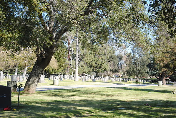 DSC 0403