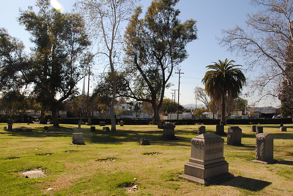 DSC 0530
