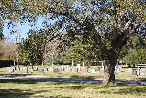 DSC 0455