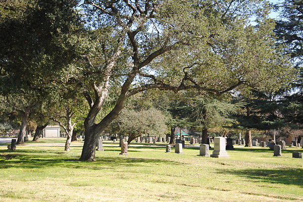 DSC 0365