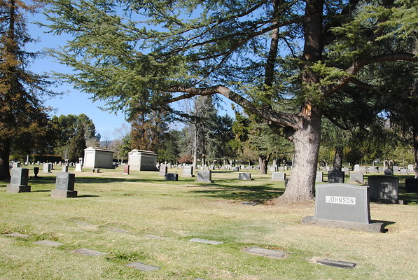 DSC 0492