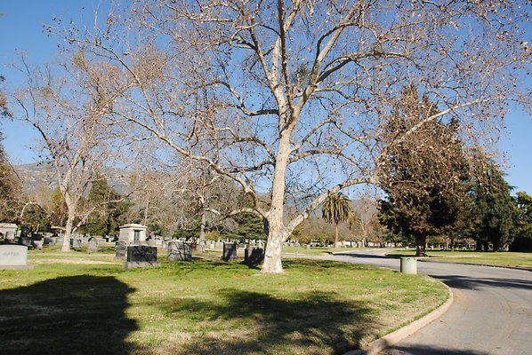 DSC 0522