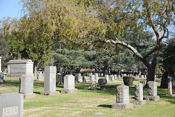 DSC 0405