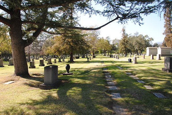 DSC 0495
