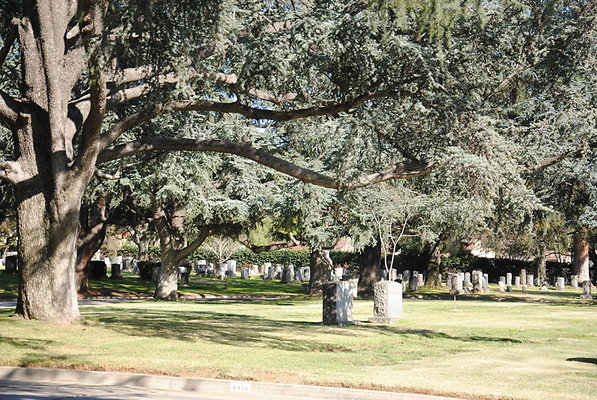DSC 0477
