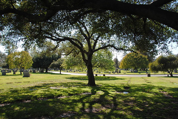 DSC 0379