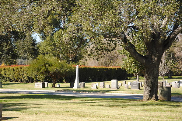 DSC 0453