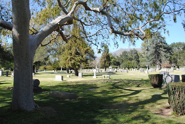 DSC 0440