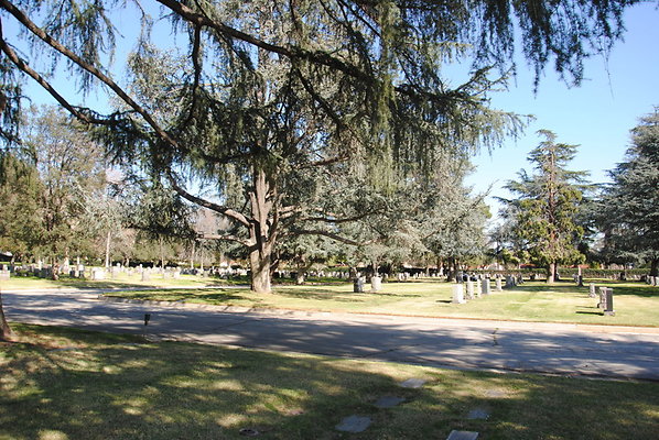 DSC 0475