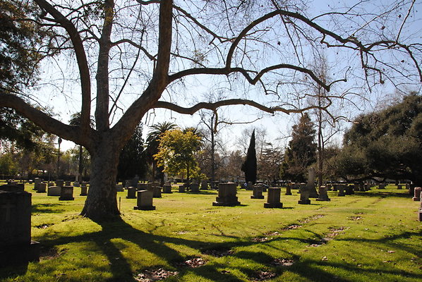 DSC 0512
