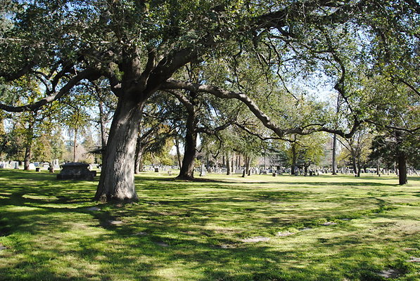DSC 0343