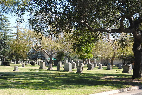 DSC 0401