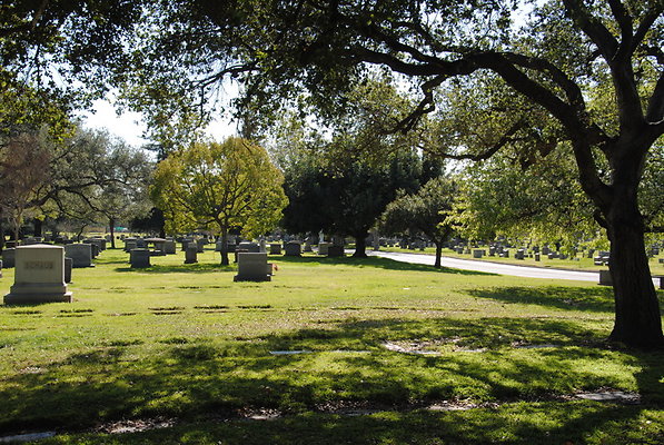 DSC 0377