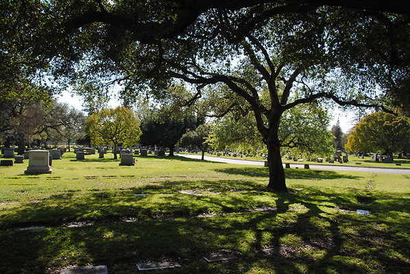 DSC 0376