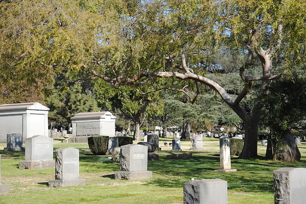 DSC 0407