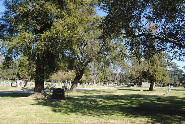DSC 0404