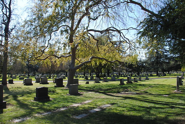 DSC 0438