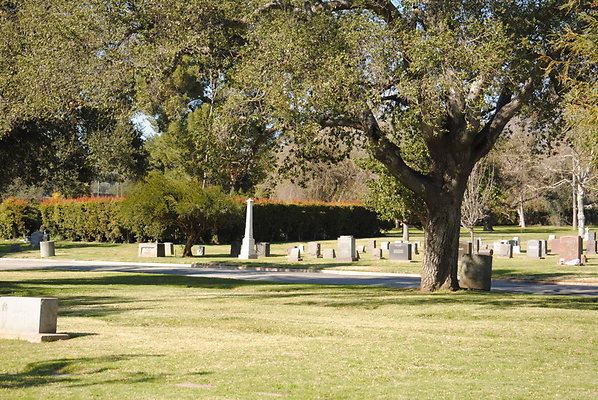 DSC 0451