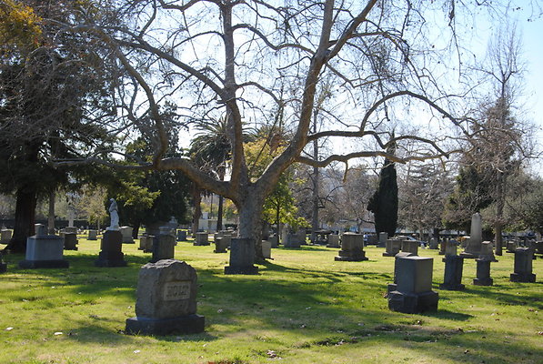 DSC 0505