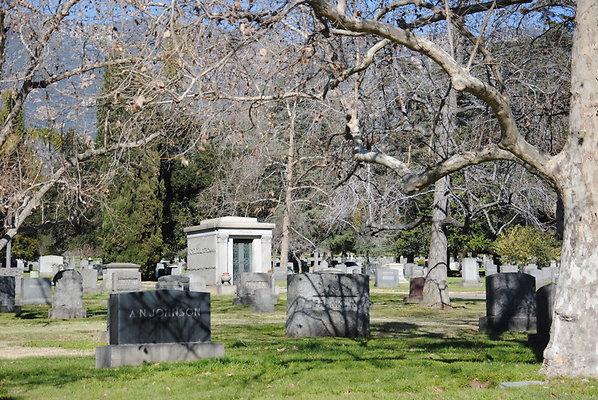 DSC 0527