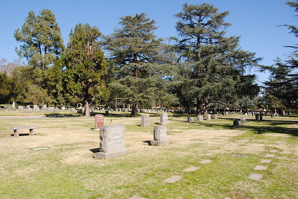 DSC 0470