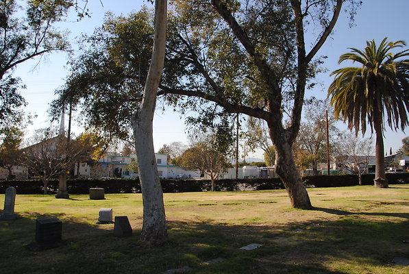 DSC 0534
