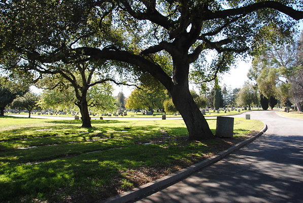 DSC 0373