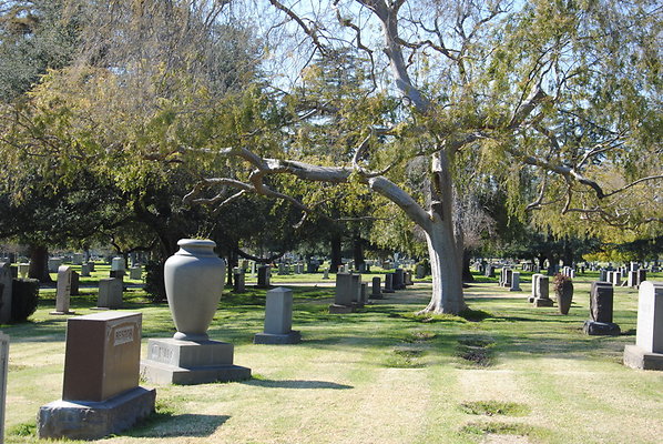 DSC 0425