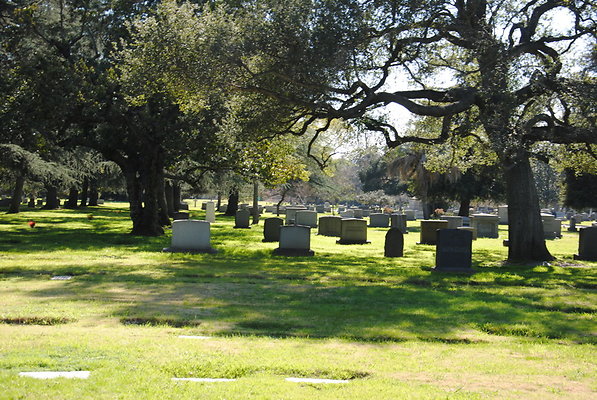 DSC 0383