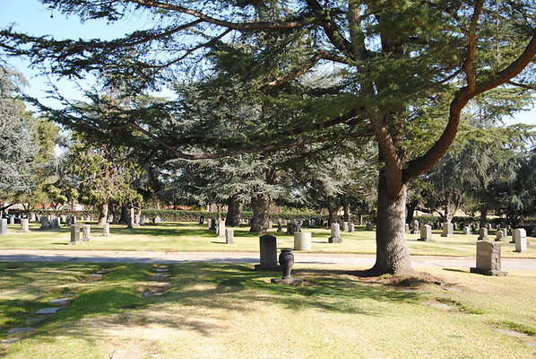 DSC 0473
