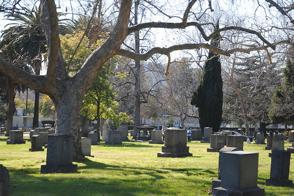 DSC 0506