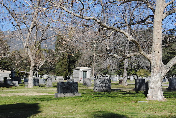 DSC 0528