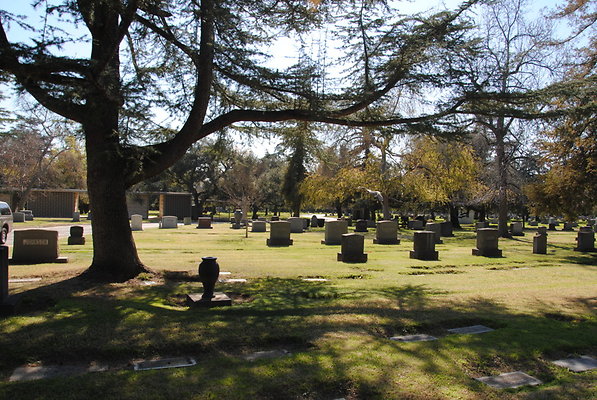 DSC 0480