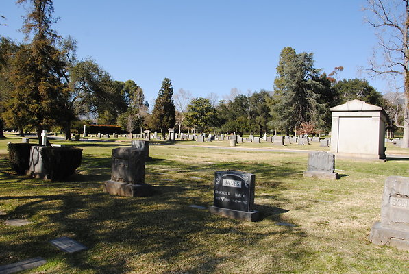 DSC 0468