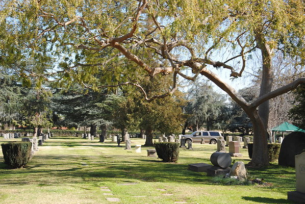DSC 0462