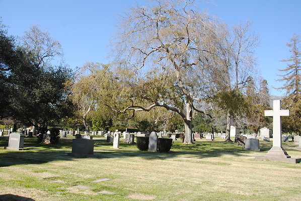 DSC 0416