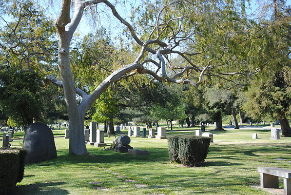 DSC 0432