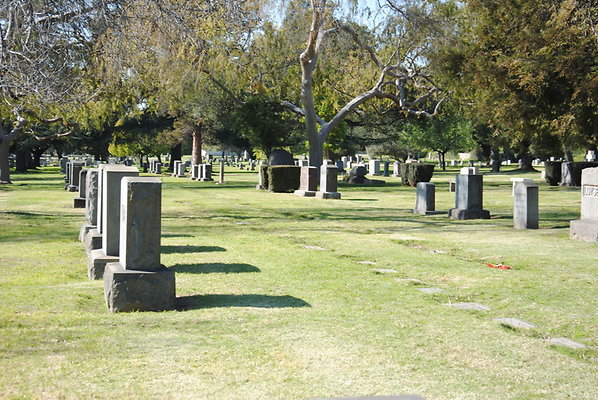 DSC 0490