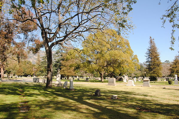 DSC 0320